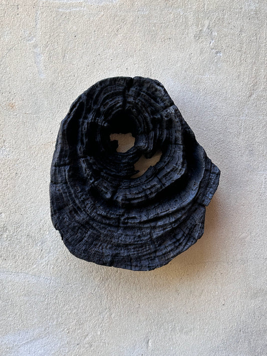 Burnt wood wall hanging N°2