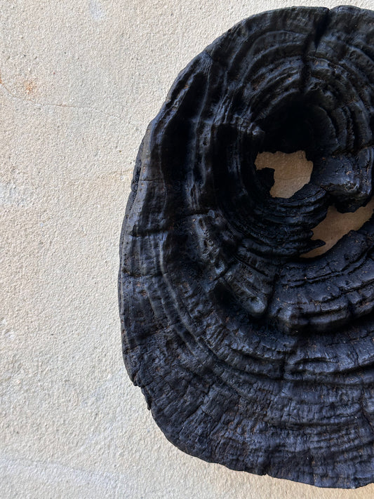 Burnt wood wall hanging N°2