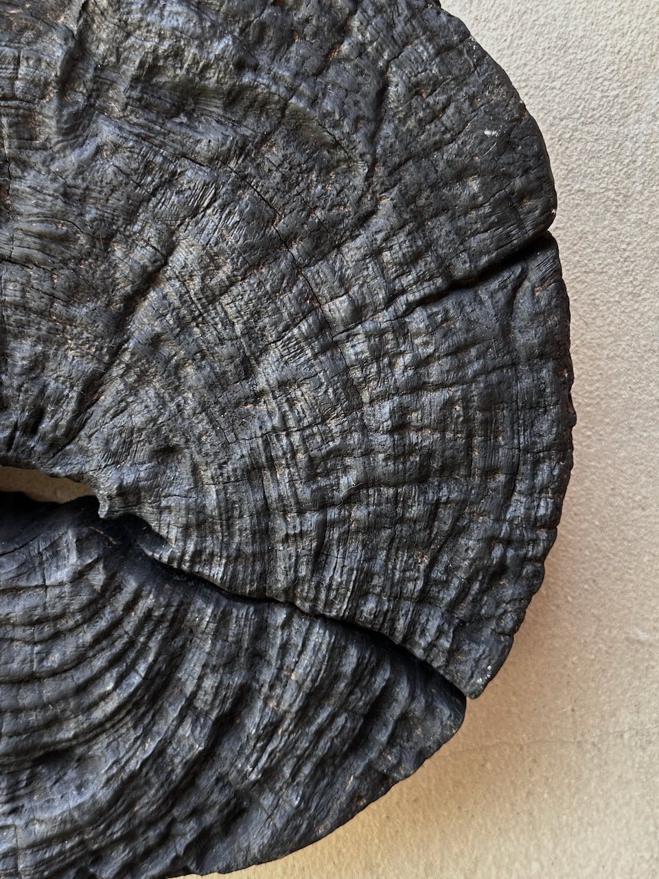 The Corner - Burnt wood wall hanging N°1 - Wall Art